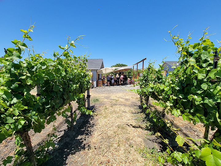 Piedra Creek Winery in San Luis Obispo