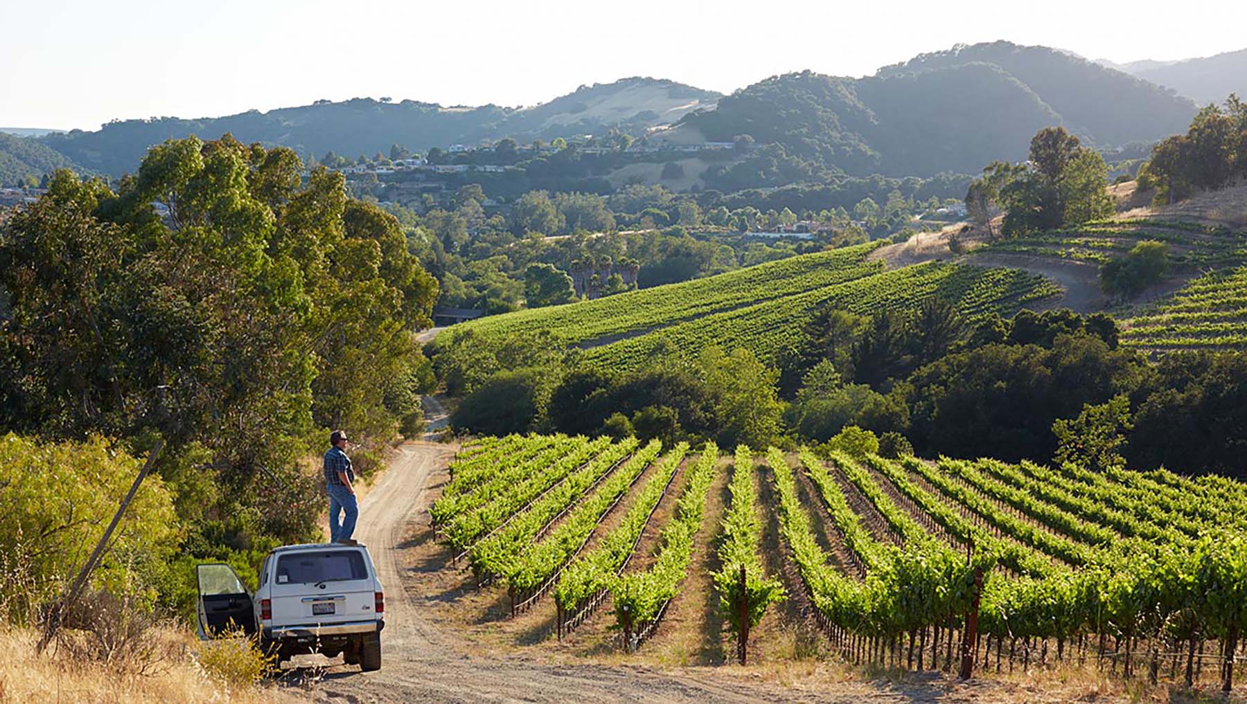 Sinor-LaVallee Winery in Avila Beach