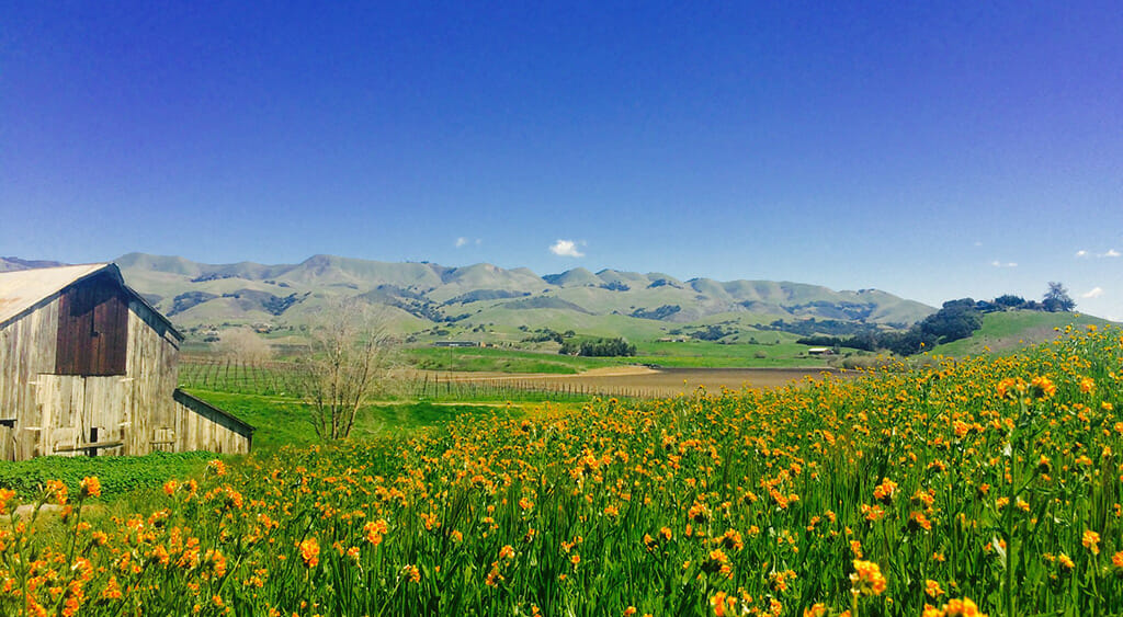 Kynsi Winery on the SLO Coast