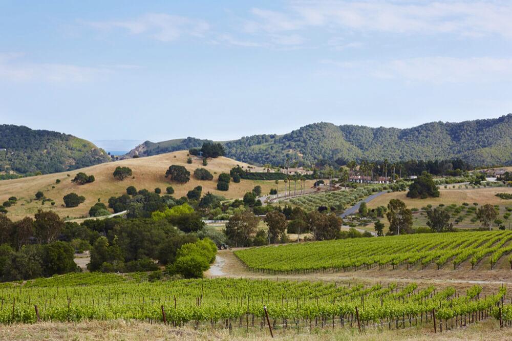 Sinor-LaVallee Winery on the SLO Coast