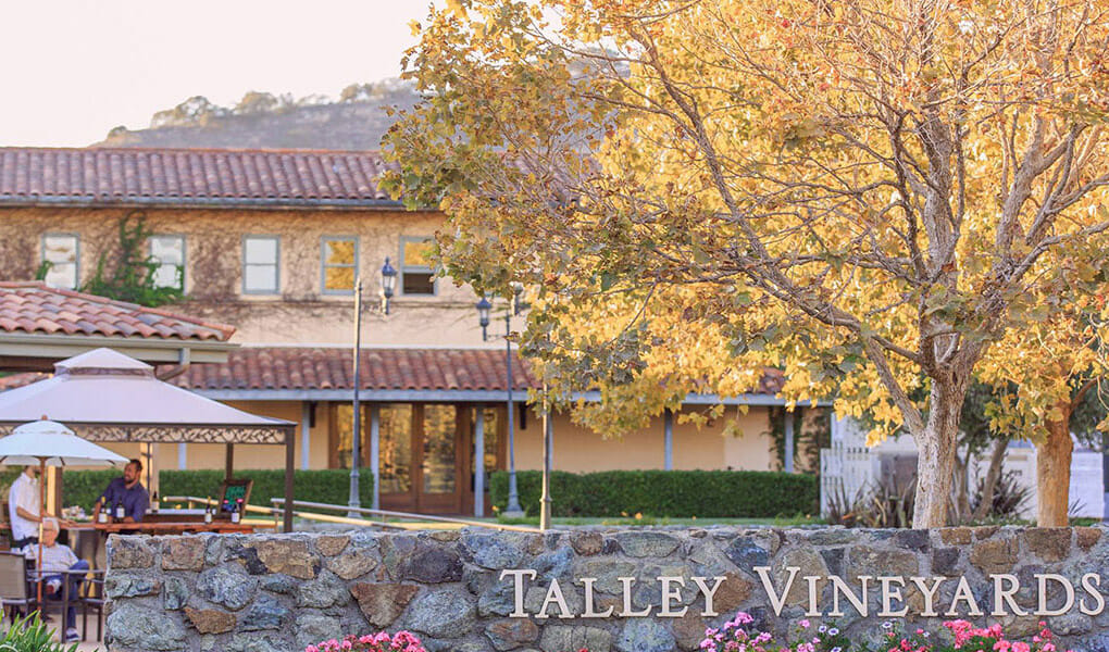 Talley Winery Pinot Noir on the SLO Coast