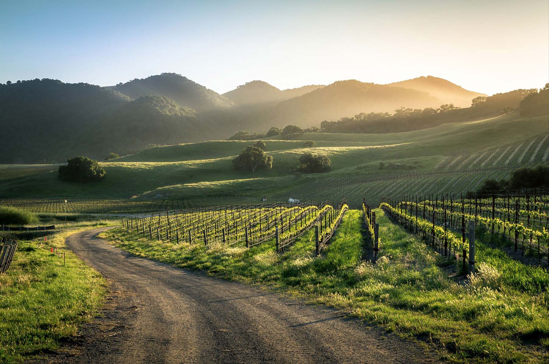 Oceano Wines on the San Luis Obispo Coast