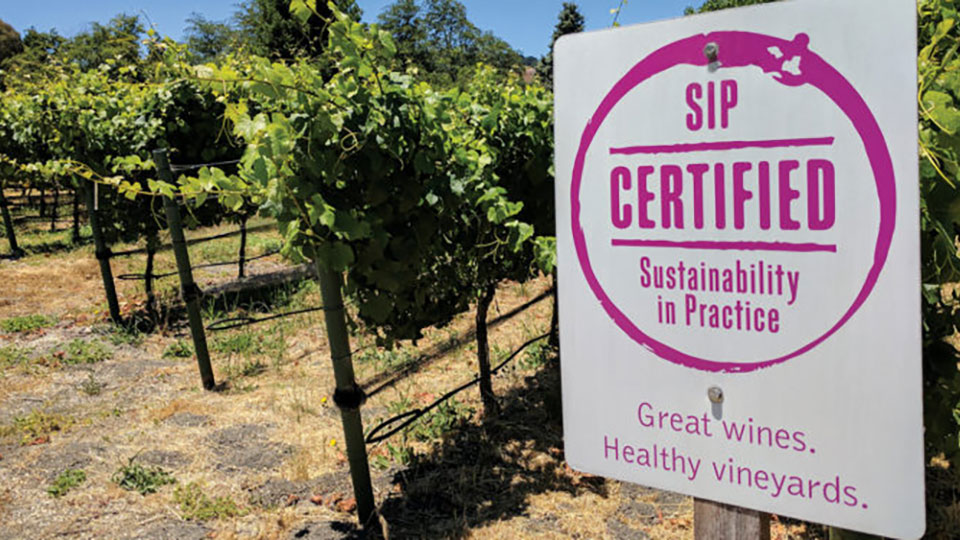 Sustainable Wine Trail on the SLO Coast in San Luis Obispo Wine Country