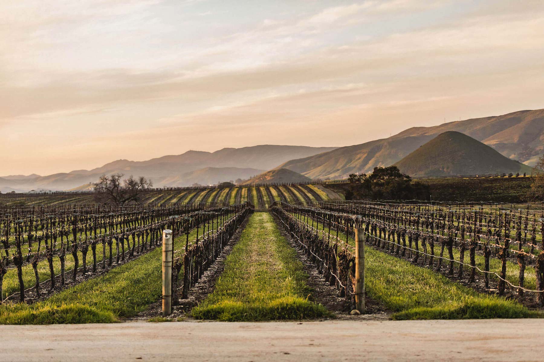Sustainable Wines on San Luis Obispo Coast SLO Coast Wine SLO Coast Wine